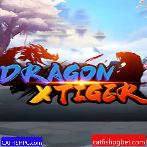 DragonXTiger: Uma Nova Experiência de Jogo com CATFISHPG.com